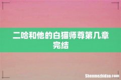 二哈和他的白猫师尊第几章完结