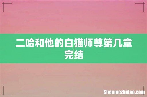 二哈和他的白猫师尊第几章完结