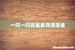 一闪一闪亮星星导演是谁