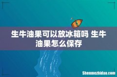 生牛油果可以放冰箱吗 生牛油果怎么保存