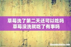 草莓洗了第二天还可以吃吗 草莓没洗就吃了有事吗