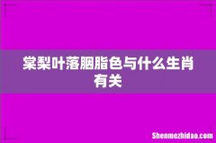 棠梨叶落胭脂色与什么生肖有关