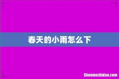 春天的小雨怎么下