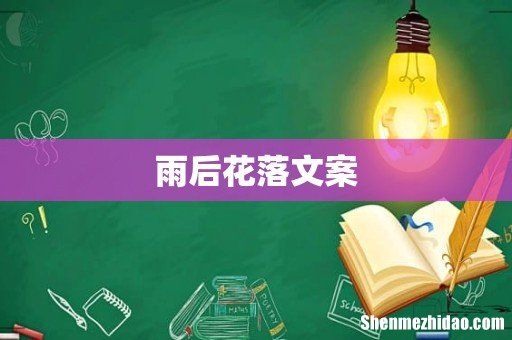 雨后花落文案