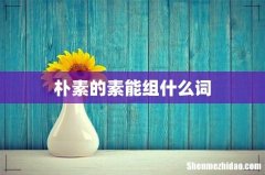 朴素的素能组什么词