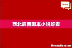 西北眉南哪本小说好看