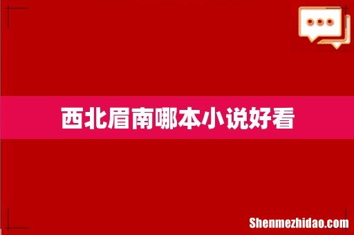西北眉南哪本小说好看