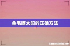 金毛晒太阳的正确方法