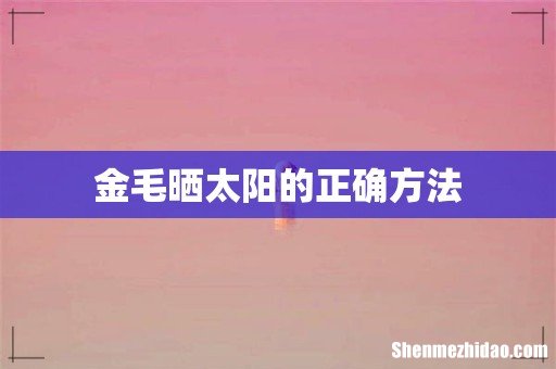 金毛晒太阳的正确方法
