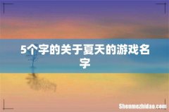 5个字的关于夏天的游戏名字