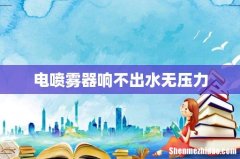 电喷雾器响不出水无压力