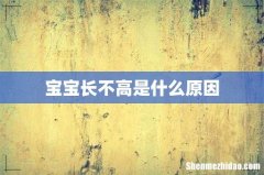 宝宝长不高是什么原因