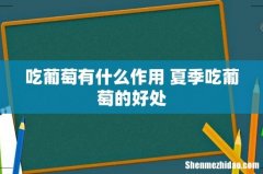 吃葡萄有什么作用 夏季吃葡萄的好处