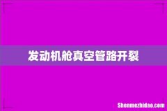 发动机舱真空管路开裂