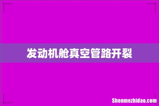 发动机舱真空管路开裂