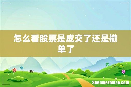怎么看股票是成交了还是撤单了