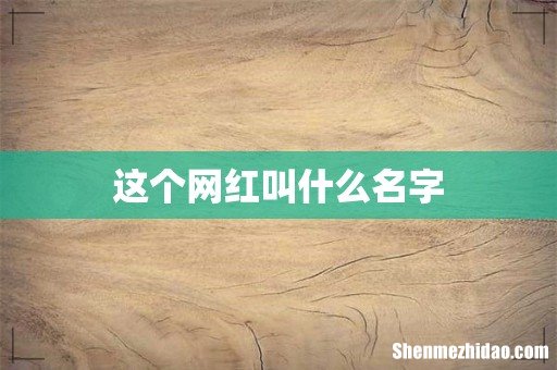 这个网红叫什么名字