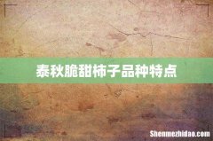 泰秋脆甜柿子品种特点