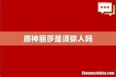 原神丽莎是须弥人吗