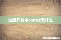 俊朗开关中com代表什么