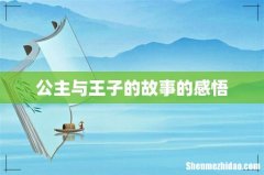 公主与王子的故事的感悟