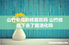 山竹中间的核能吃吗 山竹核吃下去了能消化吗
