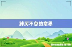 踔厉不怠的意思