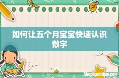 如何让五个月宝宝快速认识数字