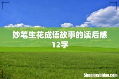 妙笔生花成语故事的读后感12字