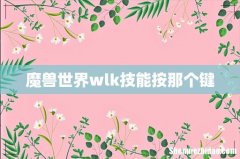 魔兽世界wlk技能按那个键