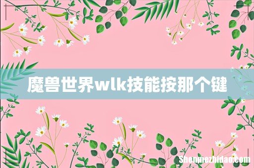 魔兽世界wlk技能按那个键