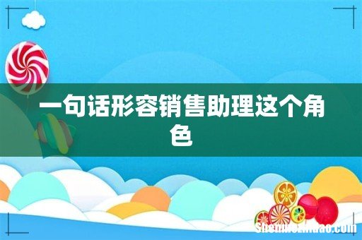 一句话形容销售助理这个角色