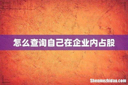 怎么查询自己在企业内占股