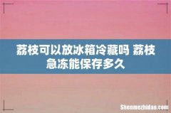 荔枝可以放冰箱冷藏吗 荔枝急冻能保存多久
