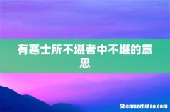有寒士所不堪者中不堪的意思