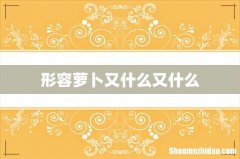 形容萝卜又什么又什么