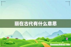 丽在古代有什么意思