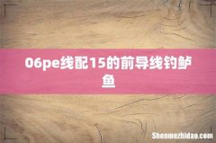 06pe线配15的前导线钓鲈鱼