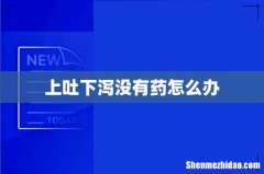 上吐下泻没有药怎么办
