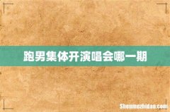 跑男集体开演唱会哪一期