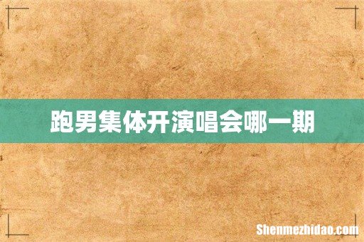 跑男集体开演唱会哪一期
