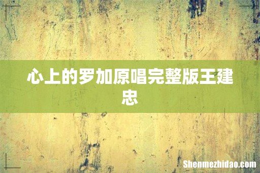 心上的罗加原唱完整版王建忠