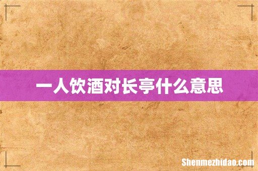 一人饮酒对长亭什么意思