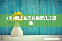 1米8宽床冬天的棉絮几斤适合