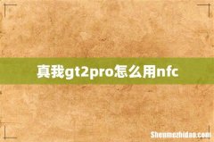 真我gt2pro怎么用nfc