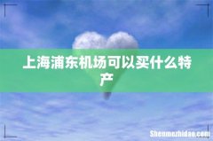 上海浦东机场可以买什么特产