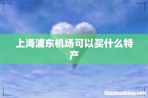上海浦东机场可以买什么特产