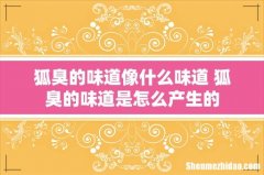 狐臭的味道像什么味道 狐臭的味道是怎么产生的
