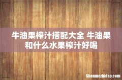 牛油果榨汁搭配大全 牛油果和什么水果榨汁好喝