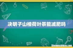 决明子山楂荷叶茶能减肥吗